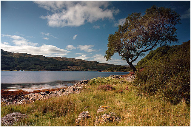 Loch Sunart.jpg